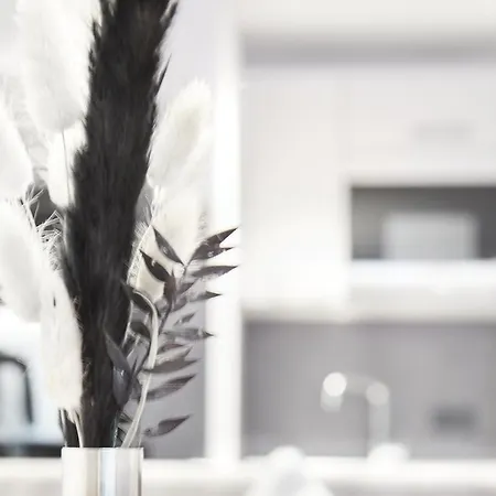 아파트 Wieslbauer 플라차우