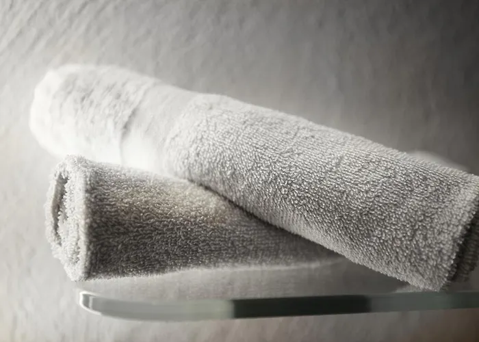 Wieslbauer 플라차우